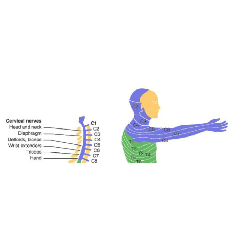 SCI - Spinal Cord Injury - C6 & C7 Quadriplegia
