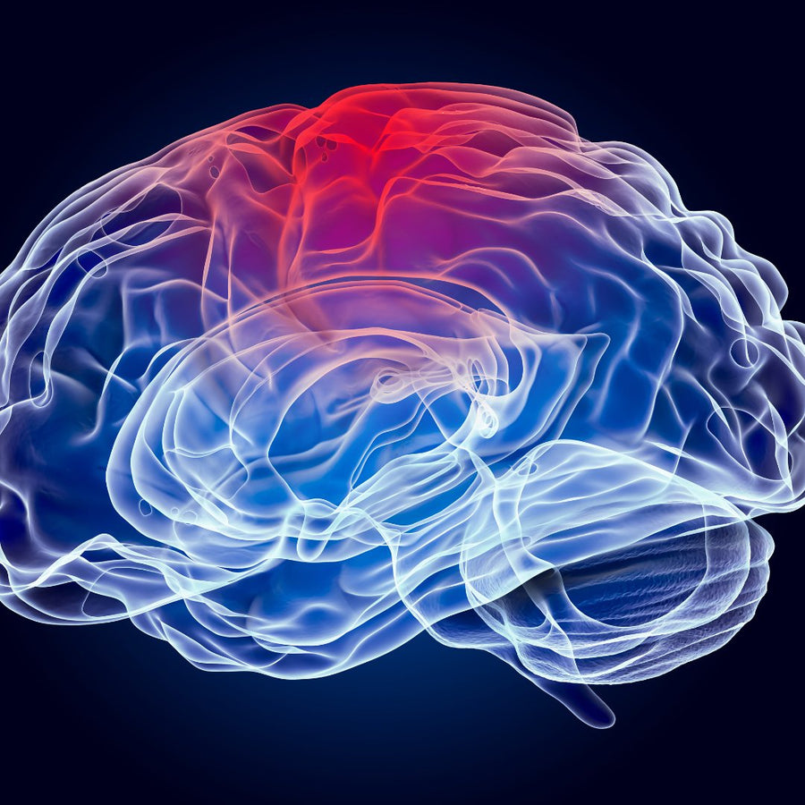 TBI - Traumatic Brain Injury