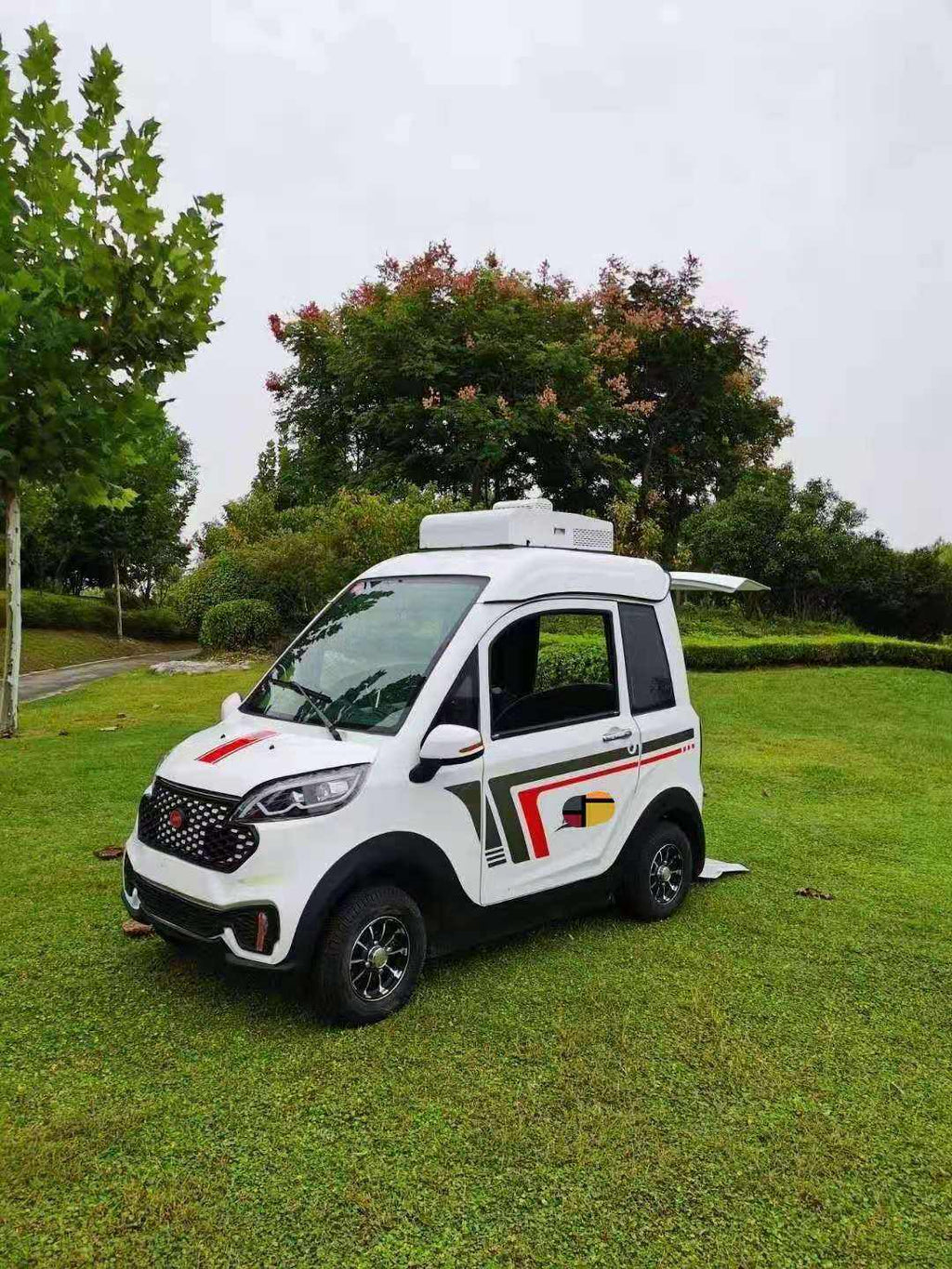 Microcargue de silla de ruedas eléctrica de ECHARIOT