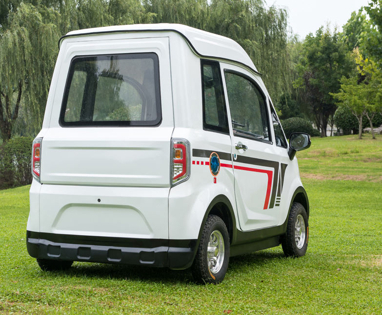 Microcargue de silla de ruedas eléctrica de ECHARIOT