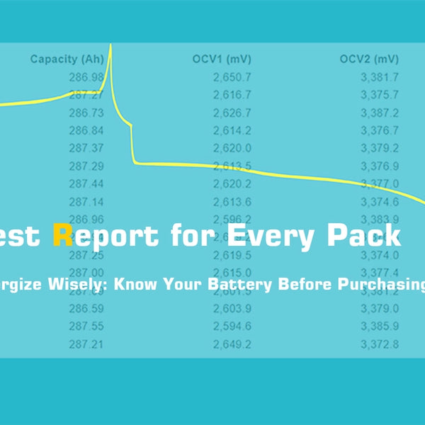Premium Rolling 51.2V 15kWh LiFePO4 Battery - Inclusive Inc