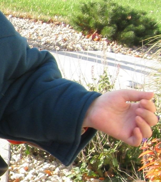 Comfort Coat Polartec Microfiber Fleece Wheelchair Poncho - Broadened Horizons Direct