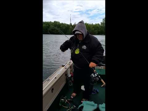 Adaptive Fishing Kit - Electric Variable-Speed Fishing Reel, Controls, Lifepo4 Battery, Graphite Rod, & Tackle