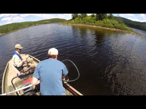Adaptive Fishing Kit - Electric Variable-Speed Fishing Reel, Controls, Lifepo4 Battery, Graphite Rod, & Tackle