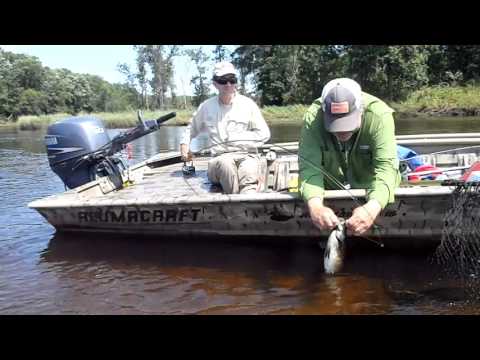 Adaptive Fishing Kit - Electric Variable-Speed Fishing Reel, Controls, Lifepo4 Battery, Graphite Rod, & Tackle
