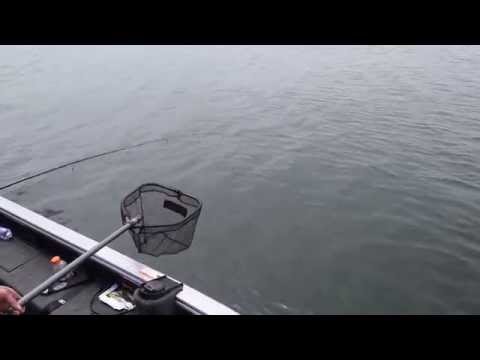 Adaptive Fishing Kit - Electric Variable-Speed Fishing Reel, Controls, Lifepo4 Battery, Graphite Rod, & Tackle