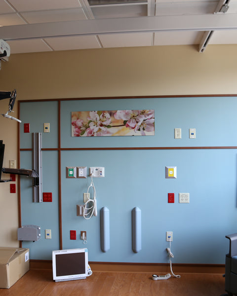 Medcare Pro Heavy Duty Ceiling Lift Motor Unit with Accessories - Broadened Horizons Direct